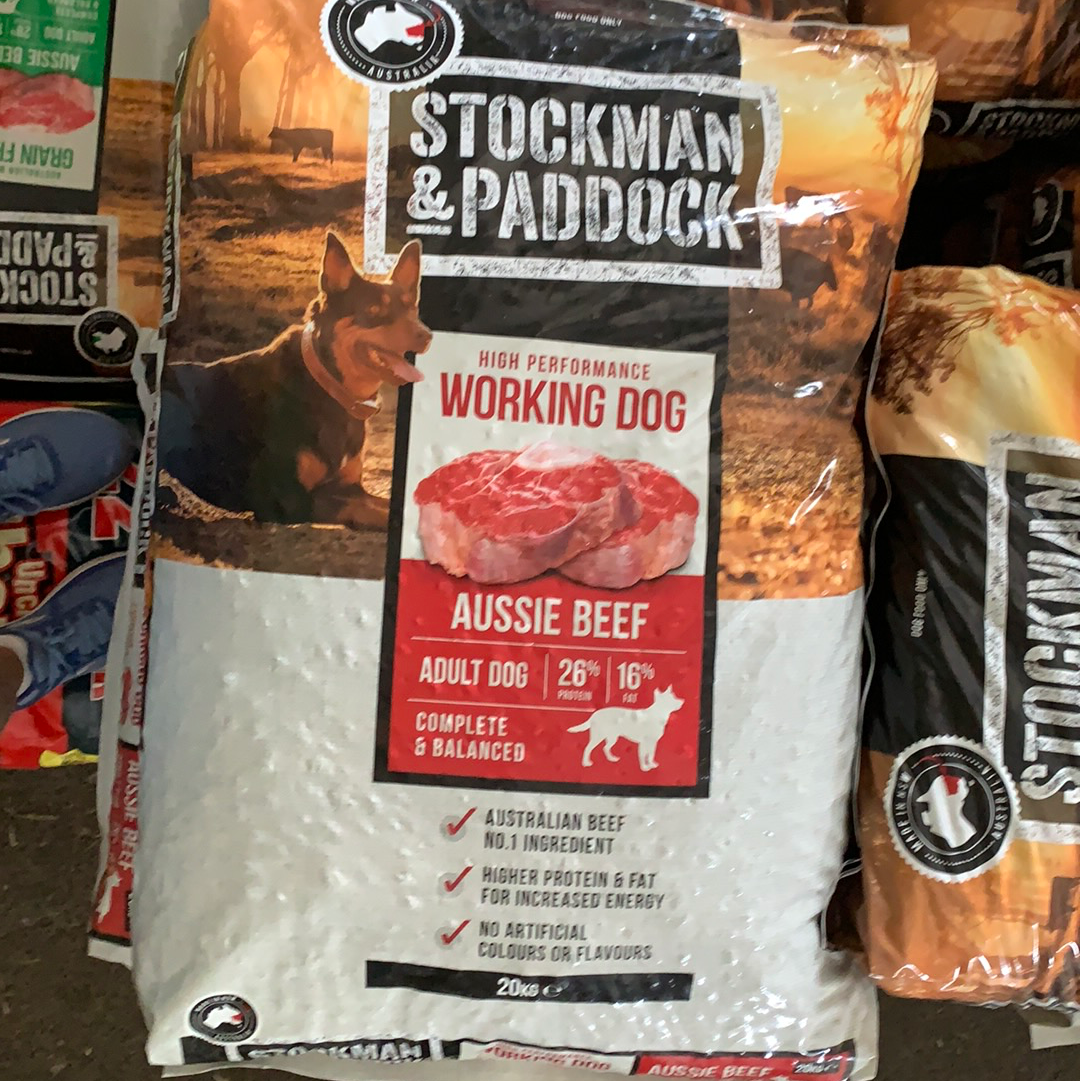 Stockman and paddock working hot sale dog