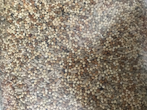 Io Budgie Mix Per Kg