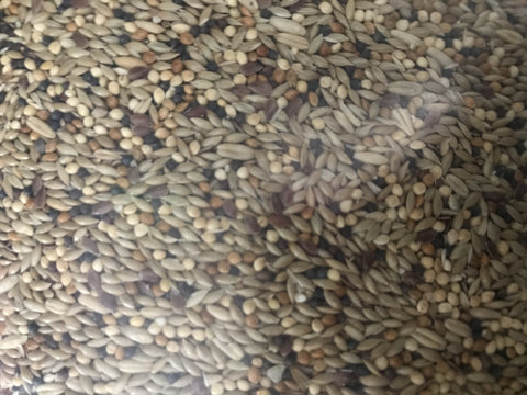 Io Canary Mix Per Kg
