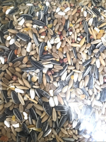 Io Parrot Mix Per Kg