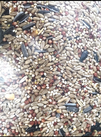 Wild Bird Per Kg