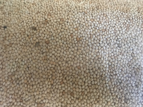 White French Millet Per Kg