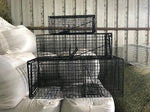 Animal Trap - Small Suitable For Rats
