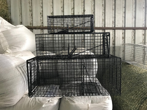 Animal Trap - Small Suitable For Rats