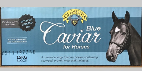 Blue Caviar Horse Block 16kg