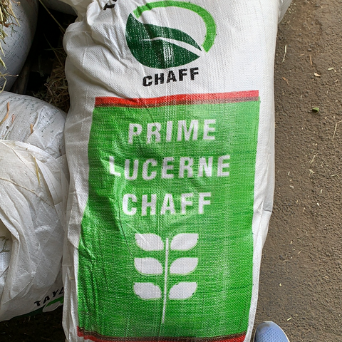 Prime Lucerne Chaff