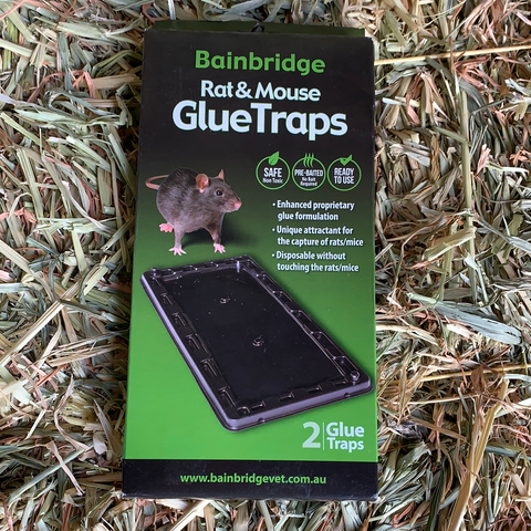 Bainbridge Rat Glue Trap 2 Pack