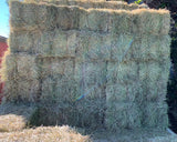 Rhodes Grass Hay Square Bale