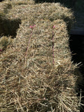 Rhodes Grass Hay Square Bale