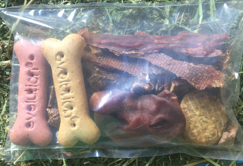 Dog Treat Pack