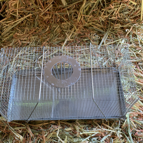 Mouse Trap Top Entry - Large (30cm)
